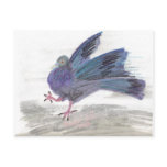 Pidgie Pigeon of the Pidgie Fund postcards