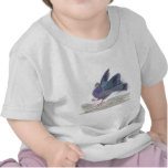 Pidgie Pigeon of the Pidgie Fund Pidgie Pigeon of the Pidgie Fund
