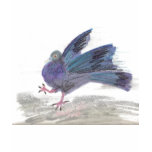 Pidgie Pigeon of the Pidgie Fund Pidgie Pigeon of the Pidgie Fund
