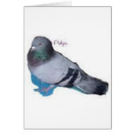 Pidgie The Pidgie Fund Pigeon cards