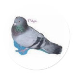 Pidgie The Pidgie Fund Pigeon stickers
