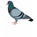 Pidgy Pinkfeet t-shirts