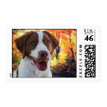 Pie The Brittany Postage postage