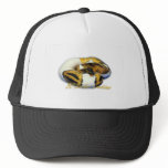 Piebald Ball Python Hat