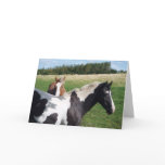 Piebald & Chestnut Horses | Blank Greeting Card