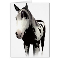 Piebald Paint Horse Art cards by horsefunny Piebald Paint Horse Art cards