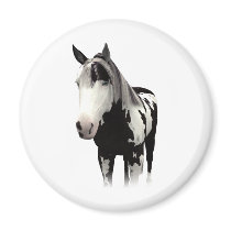 Piebald Paint Horse Art magnets by horsefunny Piebald Paint Horse Art magnets