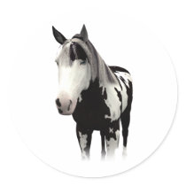 Piebald Paint Horse Art stickers by horsefunny Piebald Paint Horse Art stickers