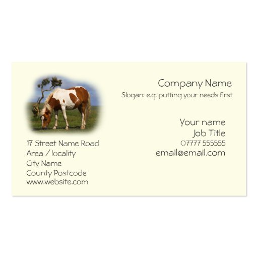 Piebald Pony business cards template (front side)
