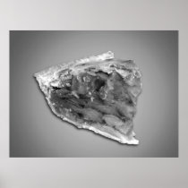 Piece of pie fro desert posters