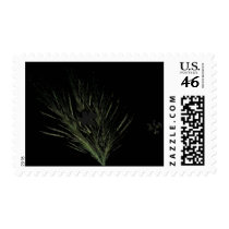 Pieces Of A Plant stamps