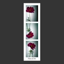 pieces of you posters