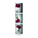 pieces of you posters
