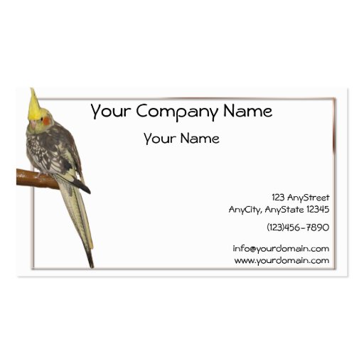 Pied Cockatiel on a Branch with White Background Business Card Template (front side)