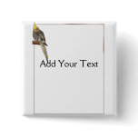 Pied Cockatiel on a Branch with White Pinback Buttons