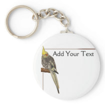 Pied Cockatiel on a Branch with White Key Chains
