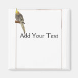 Pied Cockatiel on a Branch with White Refrigerator Magnets