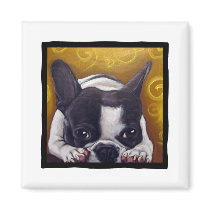 Pied Frenchie Nap Magnet