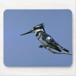 Pied Kingfisher Mouse Pad