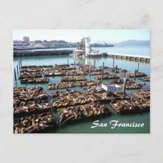 pier 39 postcard
