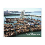 pier 39 pier 39