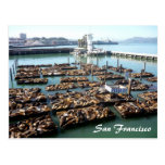pier 39 postcard
