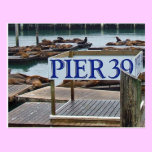 Pier 39 San Francisco Postcard postcards