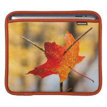 pierced in autumn sleeve for iPads