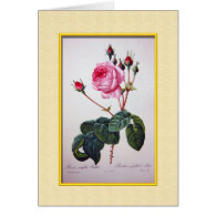 Pierre Joseph Redouté  rose flowers Greeting Card
