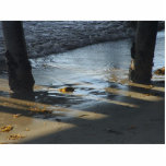 Piers Beaches Ocean Photo Sculptures