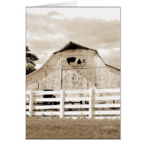 Pig Barn Cards