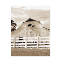 Pig Barn Postcard