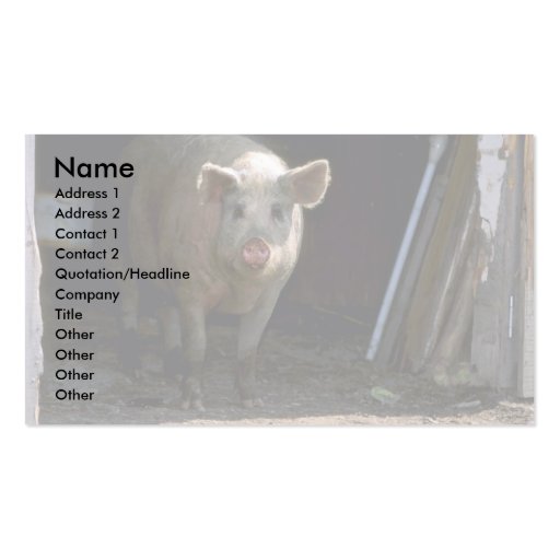 Pig Business Card Templates (front side)