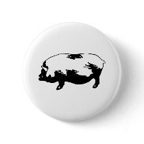 Pig buttons