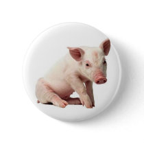pig buttons