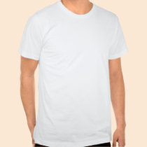 Pig Chinese Zodiac t-shirts