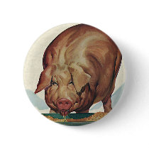 Pig Eating buttons by Tchotchke Pig Eating buttons