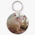 Pig Enjoying the Sun keychain