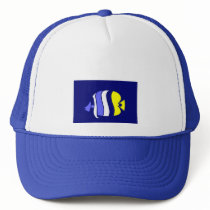 Pig Faced Butterfly Fish hats
