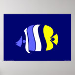 Pig Faced Butterfly Fish Posters