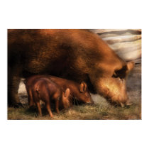Pig - Family Bonds posters