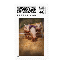 Pig - Getting past hurdles Postage Stamp