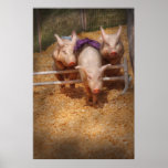 Pig -  Getting past hurdles Print