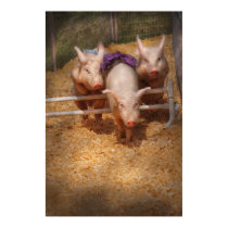 Pig -  Getting past hurdles posters
