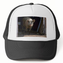 Pig Mesh Hats