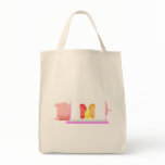 Pig In A Pink Blanket And Beans Bag