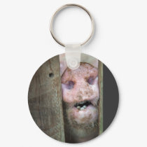 pig in keychains