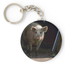 Pig Key Chain