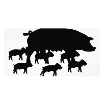 pig mum with young pigs icon photo cards