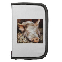 Pig of leisure planner